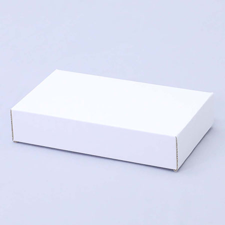 205×110×45(C式)(白)-2