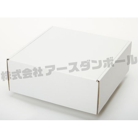 300×310×118(N式額縁)(白)-2