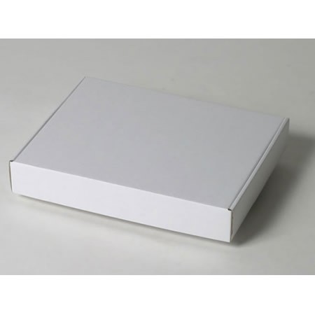 247×195×40(N式額縁)(白)-2