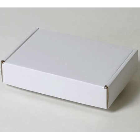 248×171×55(N式額縁)(白)-2