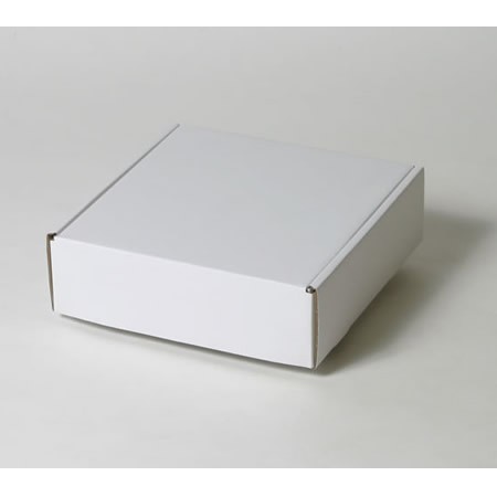 250×261×80(N式額縁)(白)-2