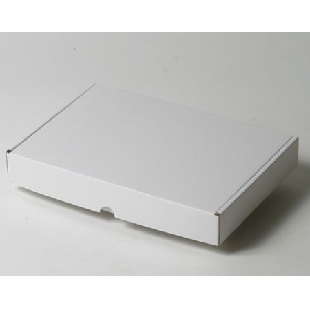 263×187×38(N式額縁)(白)-2