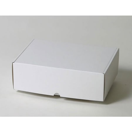 263×187×86(N式額縁)(白)-2