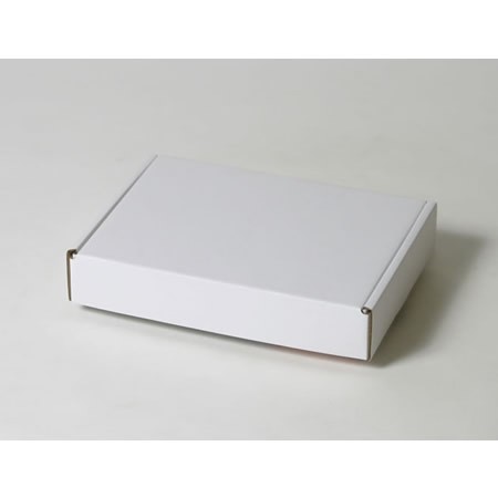 267×196×49(N式額縁)(白)-2