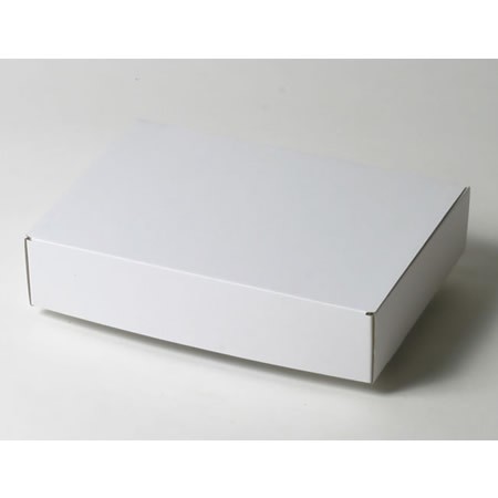 275×200×60(N式額縁)(白)-2