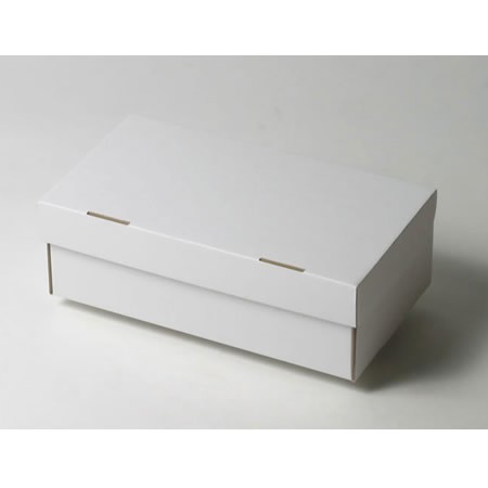 278×157×95(N式額縁)(白)-2