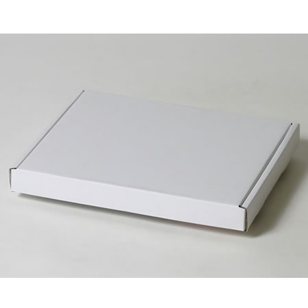 296×234×31(N式額縁)(白)-2