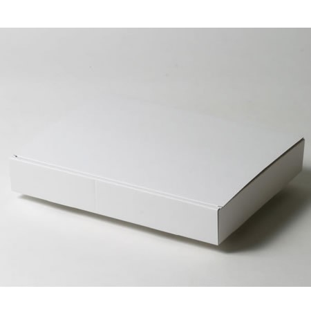 300×232×48(N式額縁)(白)-2