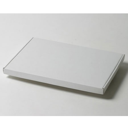 310×220×18(N式額縁)(白)-2