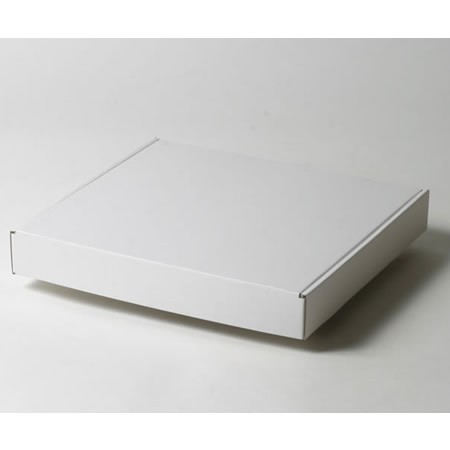 304×287×43(N式額縁)(白)-2