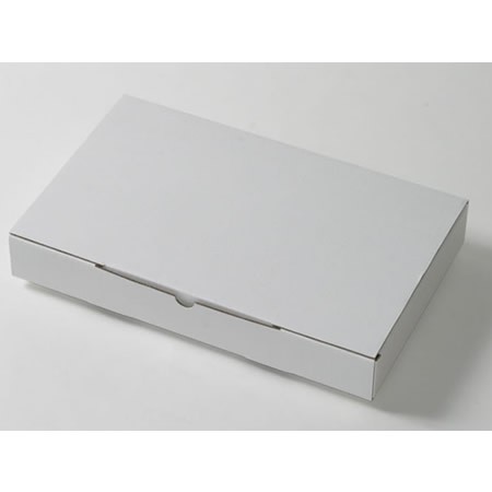 310×219×51(N式額縁差込式)(白)-2