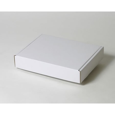 317×245×60(N式額縁)(白)-2