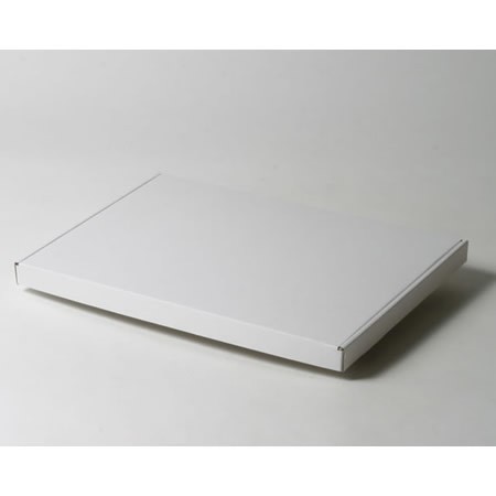 388×276×24(N式額縁)(白)-2