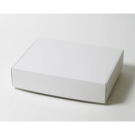 420×320×95(N式額縁)(白)-2