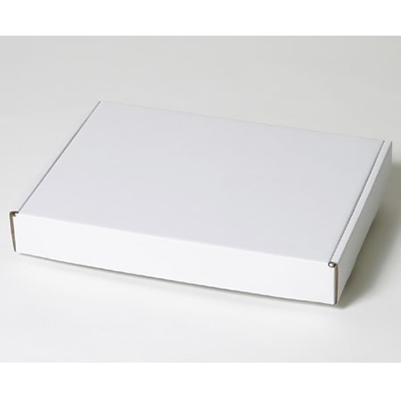 350×250×50(N式額縁)(白)-2