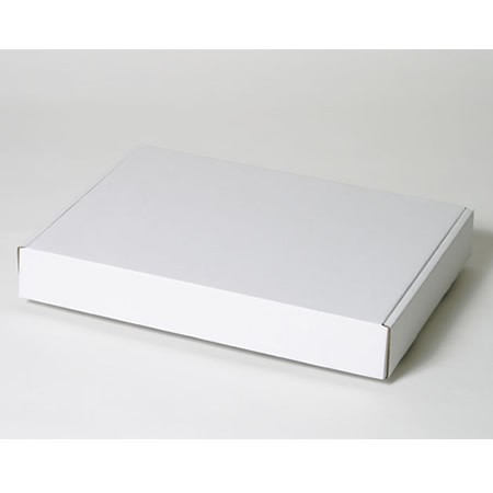 452×310×65(N式額縁)(白)-2