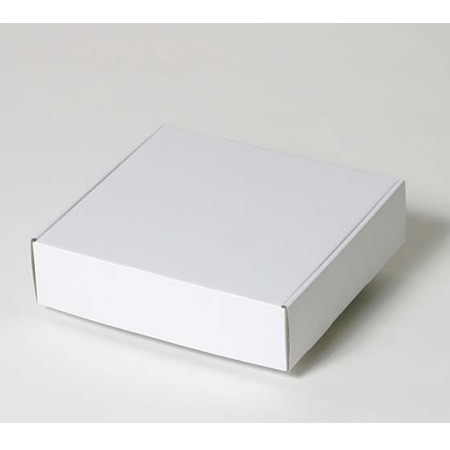 210×198×55(N式額縁)(白)-2