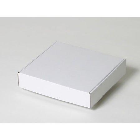 207×190×43(N式額縁)(白)-2