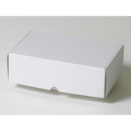 226×138×72(N式額縁)(白)-2