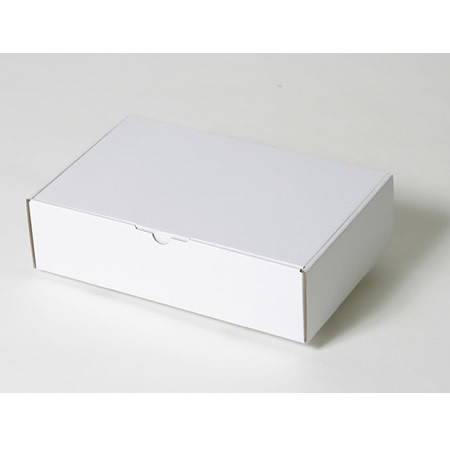 300×190×80(N式額縁差込式)(白)-2