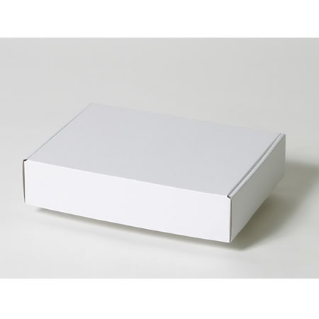 260×190×58(N式額縁CDパット一体型)(白)-2