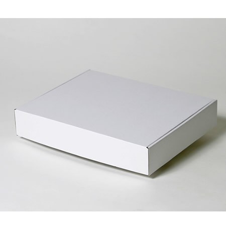 365×290×65(N式額縁)(白)-2