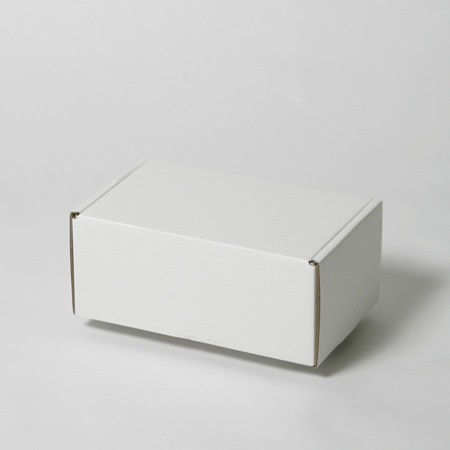 246×156×110(N式額縁)(白)-2