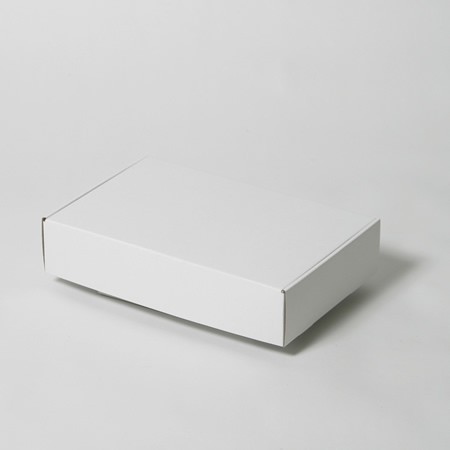 304×197×65(N式額縁)(白)-2