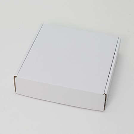 298×309×79(N式額縁箱)(白)-2