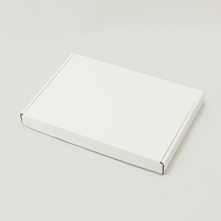 425×294×40(N式額縁箱)(白)-2