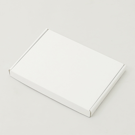 240×170×20(N式額縁箱)(白)-2