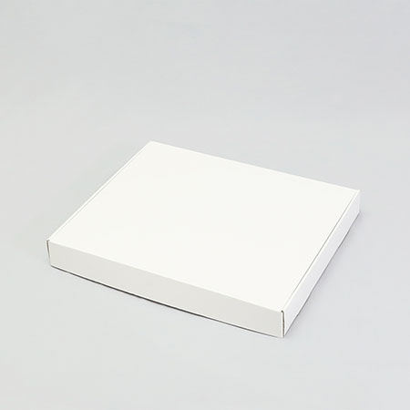 398×326×46(N式額縁)(白)-2