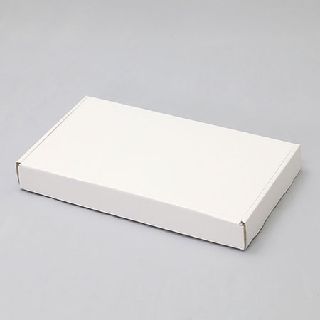 451×251×53(N式額縁)(白)-2