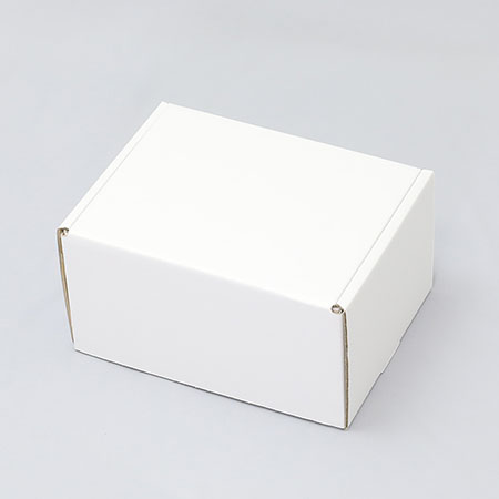 232×179×130(N式額縁)(白)-2