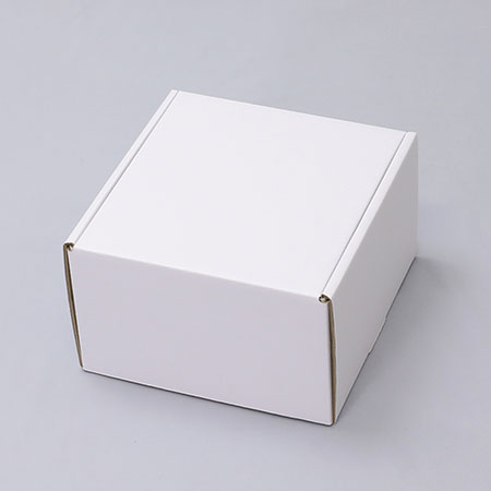 226×241×144(N式額縁)(白)-2