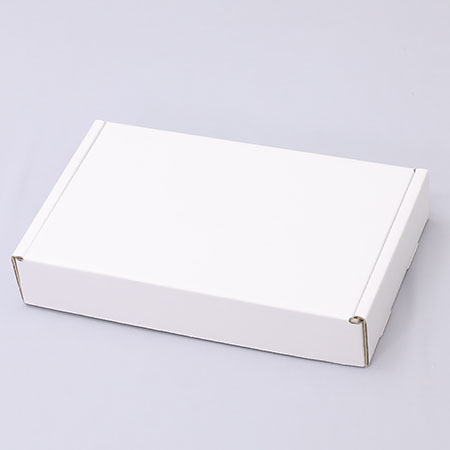 305×195×55(N式額縁)(白)-2