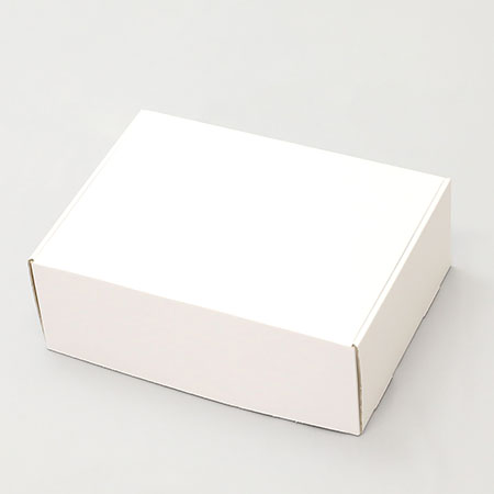 300×220×105(N式額縁)(白)-2