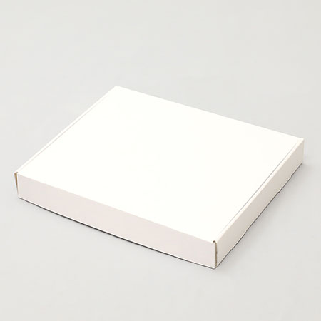 315×260×40(N式額縁)(白)-2