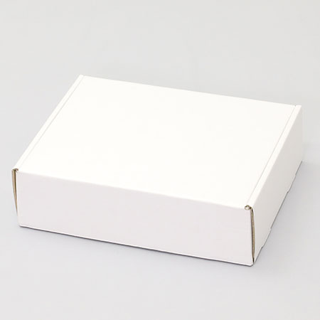 314×241×90(N式額縁)(白)-2