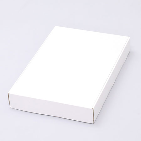 299×445×62(N式額縁)(白)-2