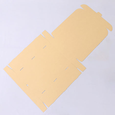 299×445×62(N式額縁)(白)-3