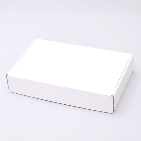 505×325×95(N式額縁)(白)-2