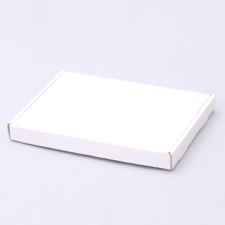 217×155×21(N式額縁)(白)-2