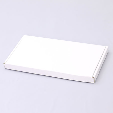 455×245×30(N式額縁)(白)-2