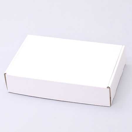 391×251×88(N式額縁)(白)-2