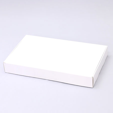 513×318×66(N式額縁)(白)-2