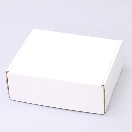 315×260×115(N式額縁)(白)-2