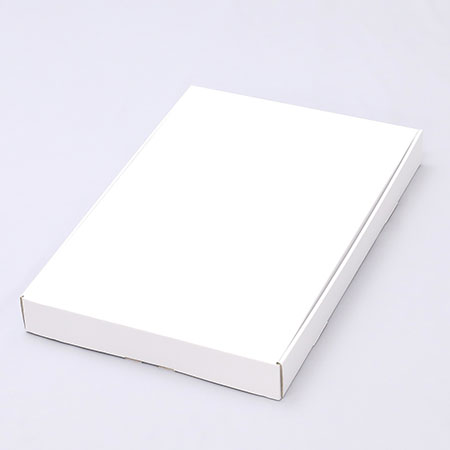 299×445×47(N式額縁)(白)-2