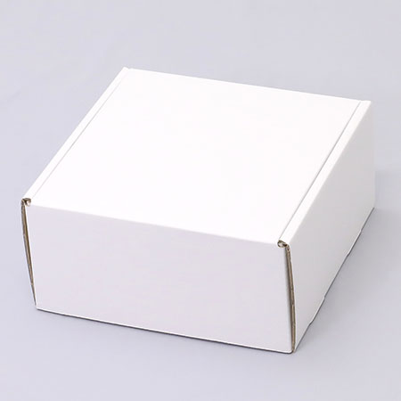 240×240×120(N式額縁)(白)-2