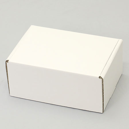 260×185×120(N式額縁)(白)-2